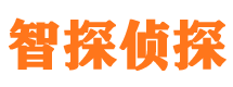 大关市侦探公司